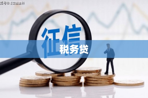 路南税务贷