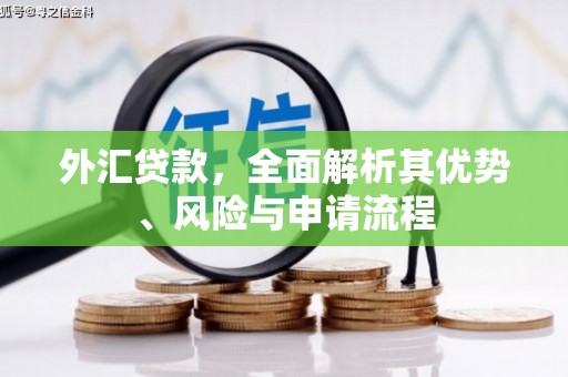 路南外汇贷款，全面解析其优势、风险与申请流程