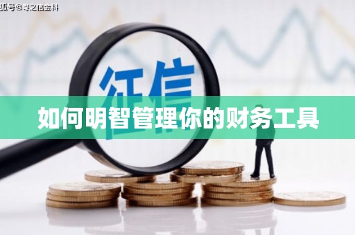 路南如何明智管理你的财务工具