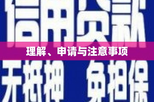 路南理解、申请与注意事项