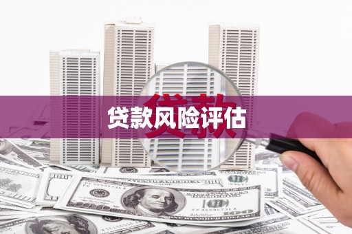 路南贷款风险评估