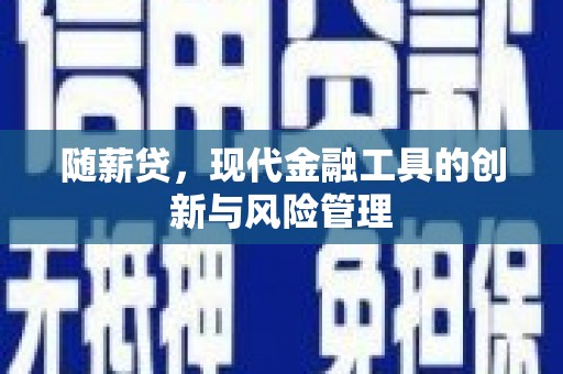 路南随薪贷，现代金融工具的创新与风险管理