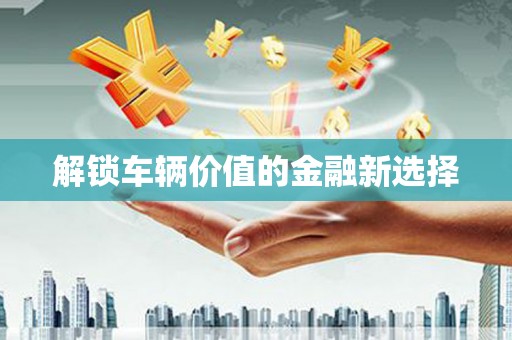 路南解锁车辆价值的金融新选择
