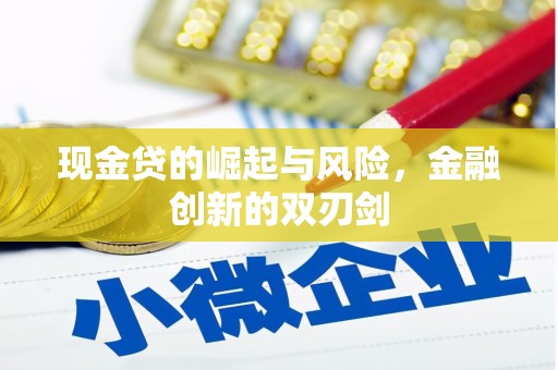 路南现金贷的崛起与风险，金融创新的双刃剑