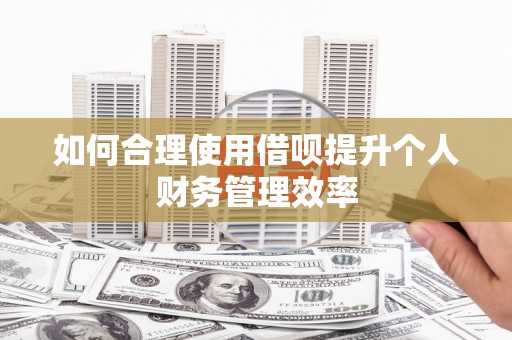 路南如何合理使用借呗提升个人财务管理效率