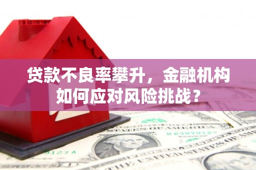 路南贷款不良率攀升，金融机构如何应对风险挑战？
