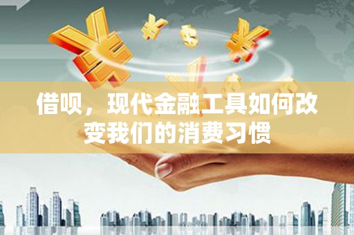 路南借呗，现代金融工具如何改变我们的消费习惯