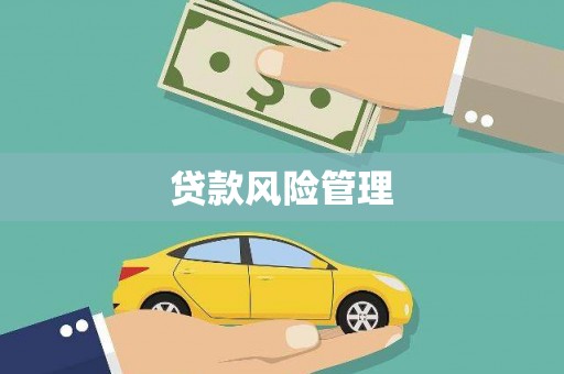 路南贷款风险管理