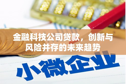 路南金融科技公司贷款，创新与风险并存的未来趋势