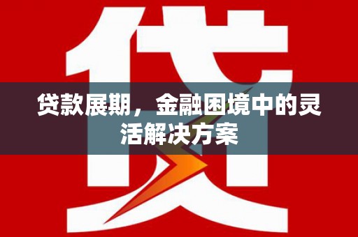 路南贷款展期，金融困境中的灵活解决方案