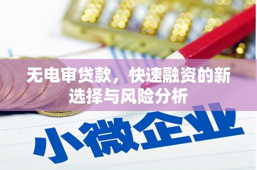 路南无电审贷款，快速融资的新选择与风险分析