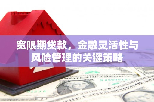 路南宽限期贷款，金融灵活性与风险管理的关键策略