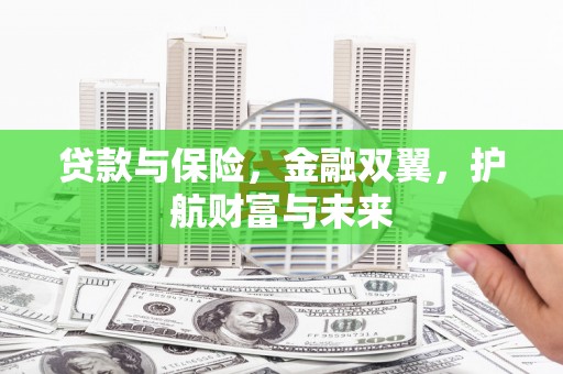 路南贷款与保险，金融双翼，护航财富与未来