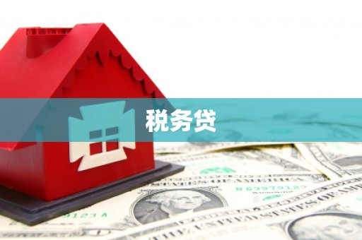 路南税务贷