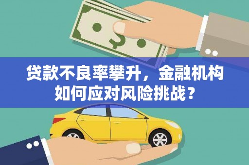 路南贷款不良率攀升，金融机构如何应对风险挑战？