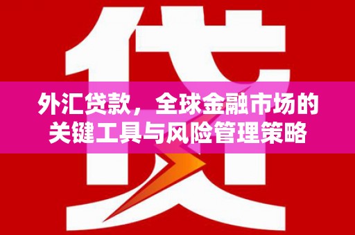 路南外汇贷款，全球金融市场的关键工具与风险管理策略