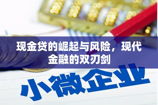 路南现金贷的崛起与风险，现代金融的双刃剑