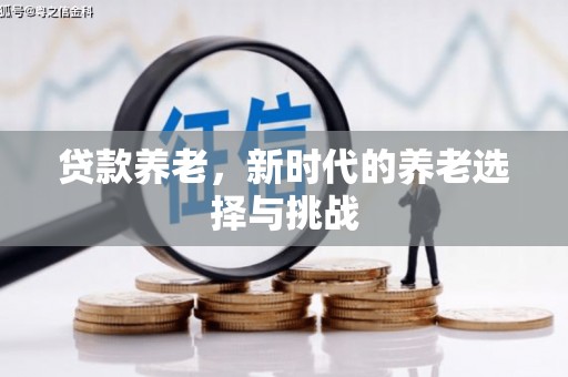 路南贷款养老，新时代的养老选择与挑战