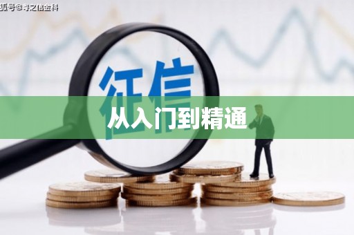 路南从入门到精通