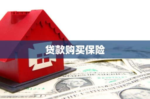 路南贷款购买保险