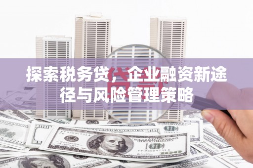 路南探索税务贷，企业融资新途径与风险管理策略