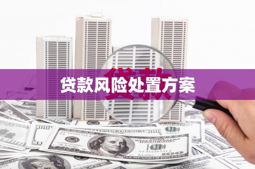 路南贷款风险处置方案