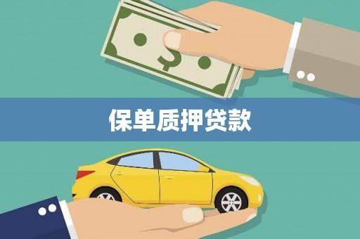 路南保单质押贷款