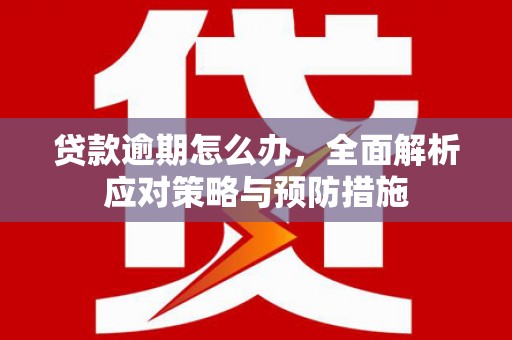 路南贷款逾期怎么办，全面解析应对策略与预防措施