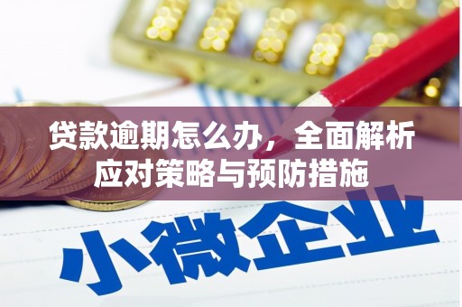 路南贷款逾期怎么办，全面解析应对策略与预防措施