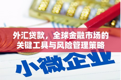 路南外汇贷款，全球金融市场的关键工具与风险管理策略