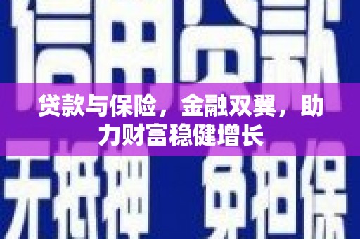 路南贷款与保险，金融双翼，助力财富稳健增长