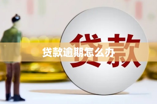 路南贷款逾期怎么办
