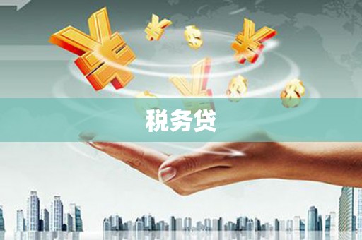 路南税务贷