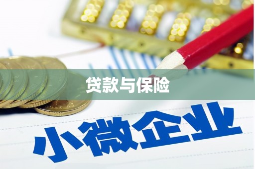 路南贷款与保险