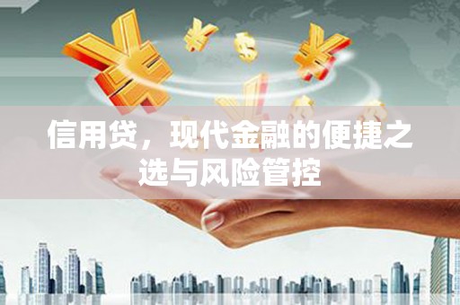 路南信用贷，现代金融的便捷之选与风险管控