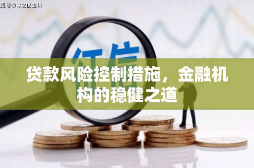 路南贷款风险控制措施，金融机构的稳健之道