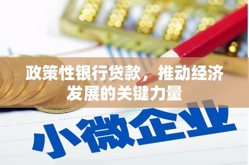 路南政策性银行贷款，推动经济发展的关键力量