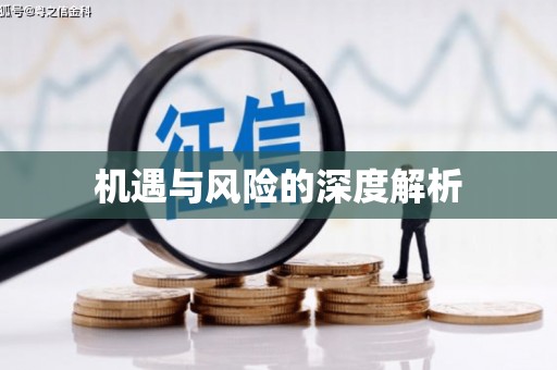 路南机遇与风险的深度解析