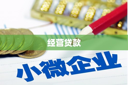 路南经营贷款