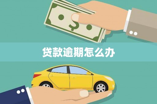 路南贷款逾期怎么办