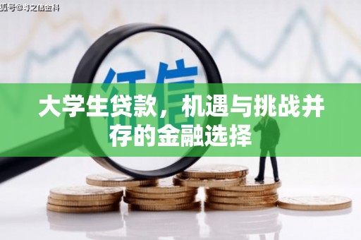 路南大学生贷款，机遇与挑战并存的金融选择