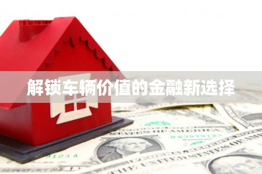 路南解锁车辆价值的金融新选择