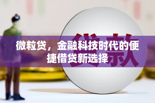路南微粒贷，金融科技时代的便捷借贷新选择