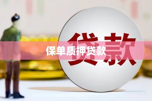 路南保单质押贷款
