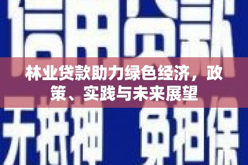 路南林业贷款助力绿色经济，政策、实践与未来展望