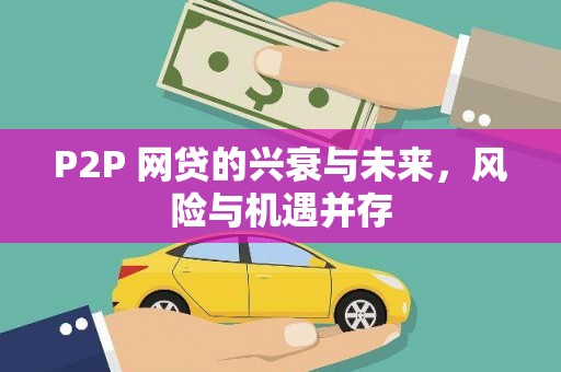 路南P2P 网贷的兴衰与未来，风险与机遇并存