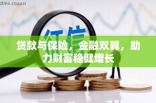 路南贷款与保险，金融双翼，助力财富稳健增长