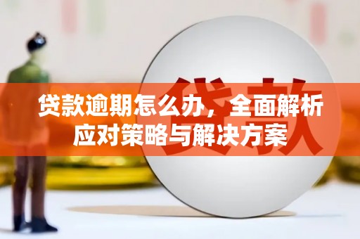 路南贷款逾期怎么办，全面解析应对策略与解决方案