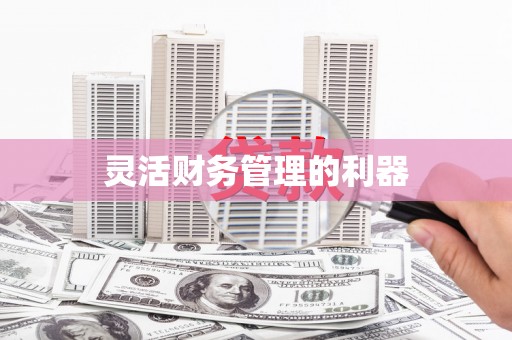路南灵活财务管理的利器