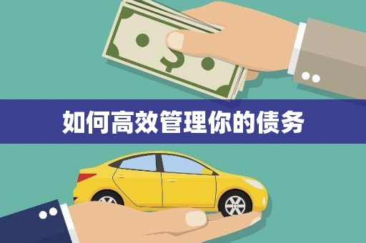 路南如何高效管理你的债务